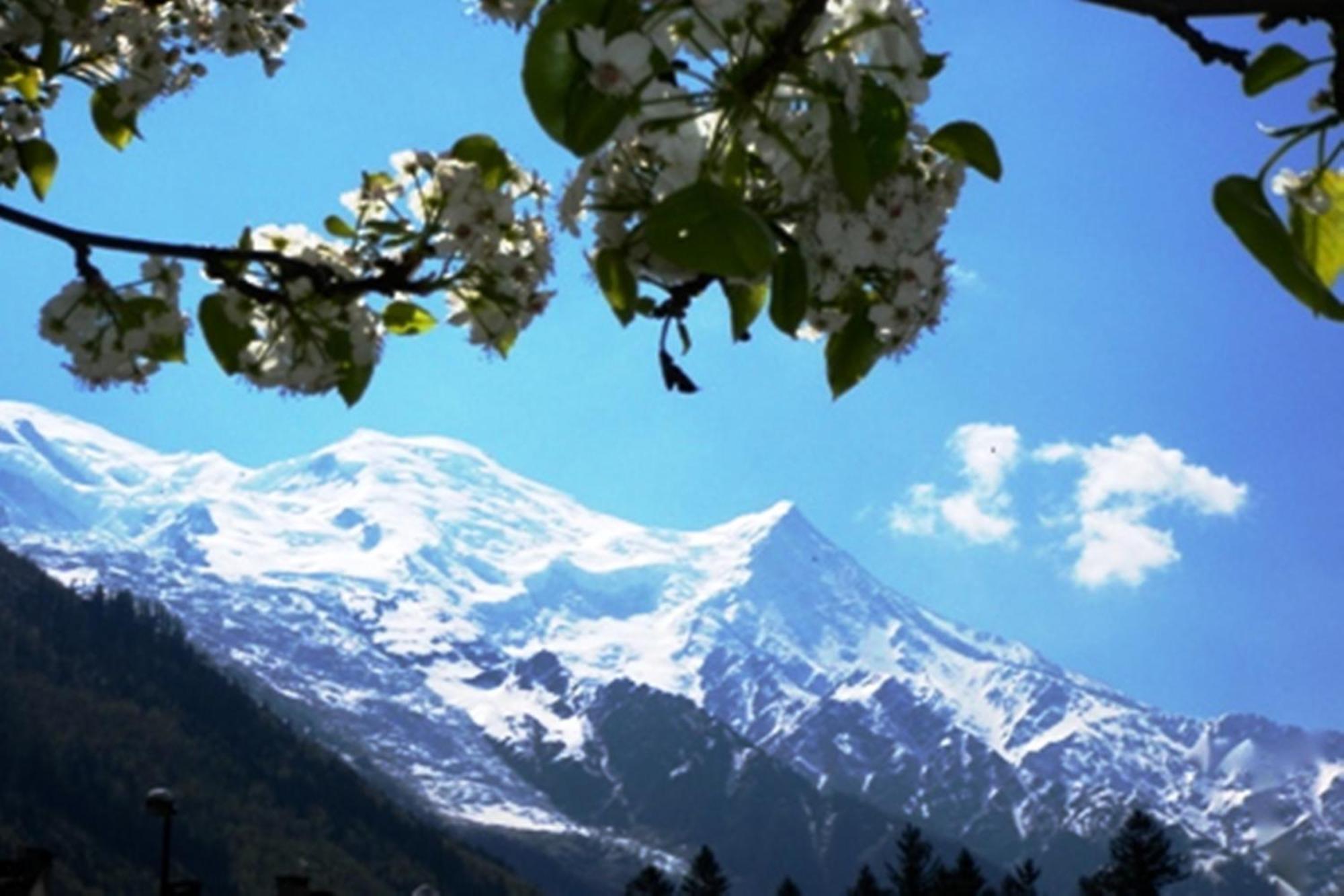 Residence Grands Montets 133 Ski In-Ski Out - Happy Rentals Chamonix Bagian luar foto
